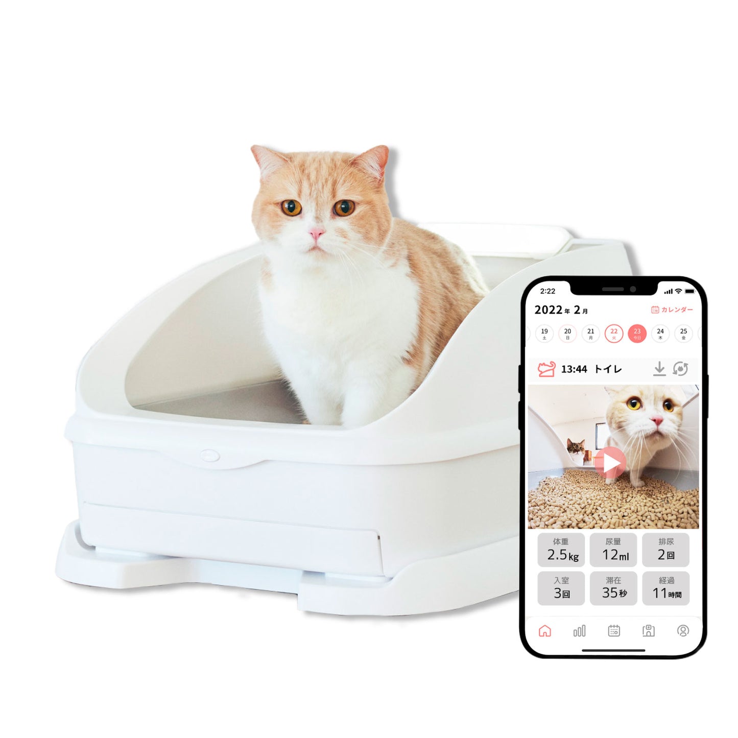 Toletta本体【追加購入】*月額プランご利用者様向け