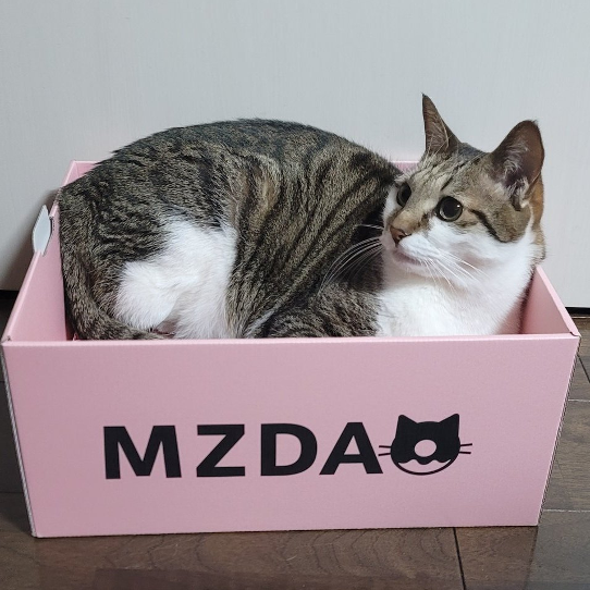 【旧MZDAO会員様用】MZDAO限定爪とぎBOX