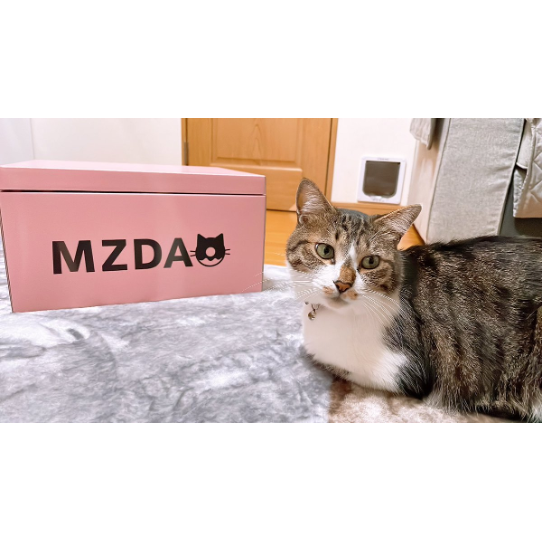 【旧MZDAO会員様用】MZDAO限定爪とぎBOX