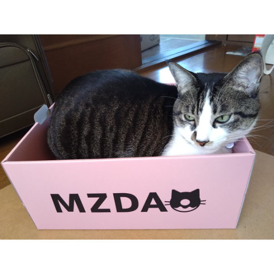 【旧MZDAO会員様用】MZDAO限定爪とぎBOX