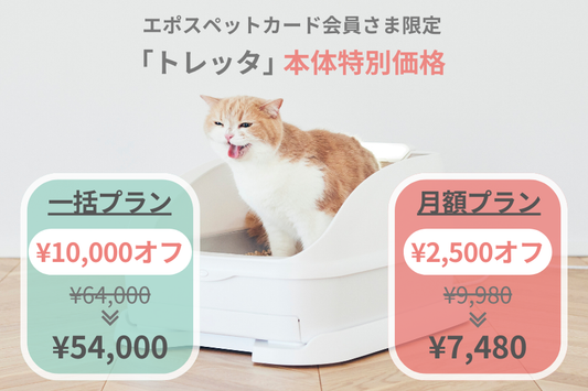可愛いねこちゃんのお写真をクレジットカードに♪ エポスペットカードの優待特典に『トレッタ』が加わりました🐾
