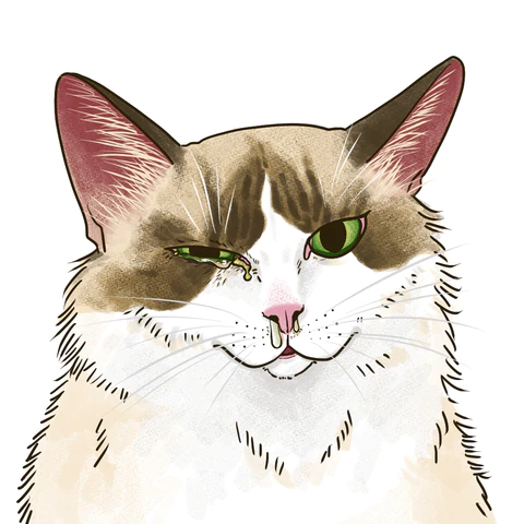 ねこの口内にできもの？猫カリシウイルス感染症について。