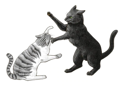猫免疫不全ウイルス感染症（猫エイズ）とは？愛猫を感染させないために大切なこと。