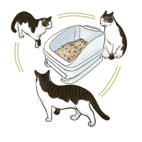 トイレに行く回数が多い。ねこの頻尿で考えられる病気について