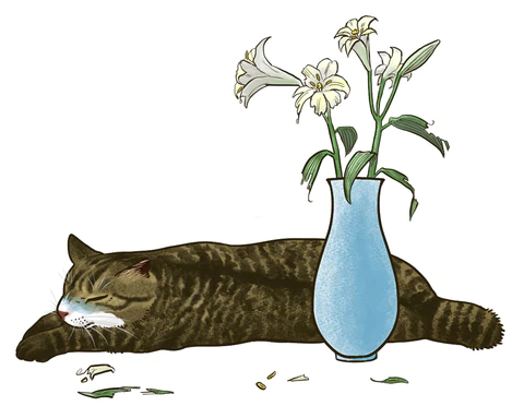花粉や花を生けた水も危険！とても怖いねこの「ゆり中毒」について