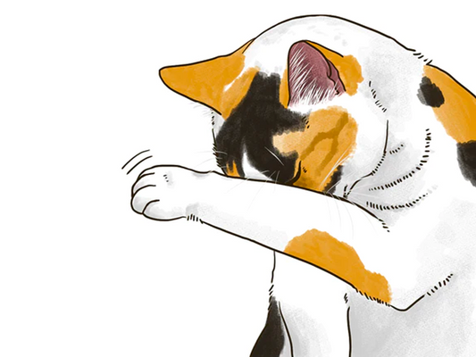 ねこの目が開かない（細める）ときに疑われる、ねこの角膜炎の症状と治療法について。