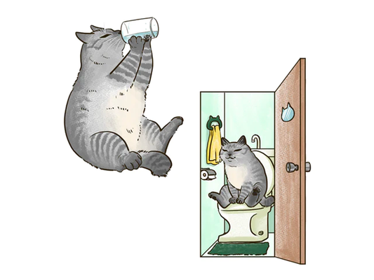 おしっこの量が多くて色が薄い。ねこの尿崩症について解説