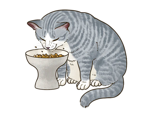 ねこの食器の選び方