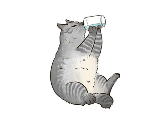 ねこが1日に飲む水の量や尿量を把握していますか？正しい飲水量・尿量の測り方