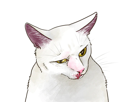鼻血やいびきに要注意！ねこの鼻腔内腫瘍について。