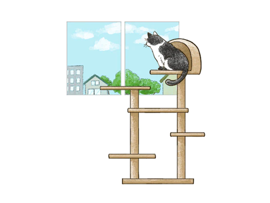 ねこが隠れられる場所が重要！ねこが快適に暮らすための環境づくり【前編】