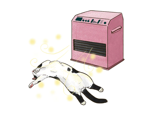 ねこがリラックスできる空間とは？ねこが快適に暮らすための環境づくり【後編】