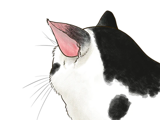 頭を振る、耳を壁に擦り付けるなどの症状が出たら注意！ねこの中耳炎の症状と治療法とは？