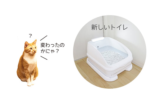 ねこに新しいトイレを使ってもらうコツ。トレッタが教えます！