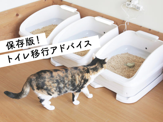 新しいねこトイレと砂の変更にお悩みの方へ。トイレ移行アドバイス【保存版】