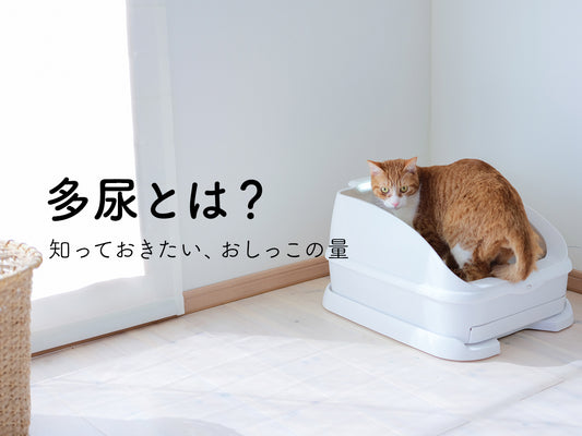 「多尿」は腎臓病のサイン。ねこのおしっこの量、把握できていますか？