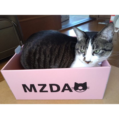【旧MZDAO会員様用】MZDAO限定爪とぎBOX
