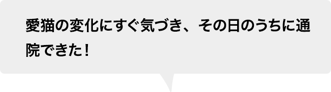 愛猫の変化にすぐ気づき、その日のうちに通院できた！