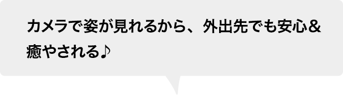カメラで姿が見れるから、外出先でも安心＆癒やされる